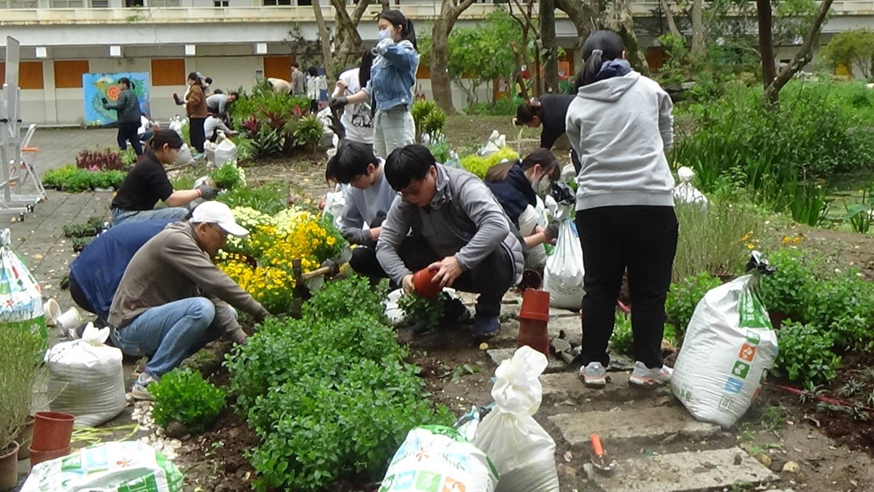 學生種植植栽